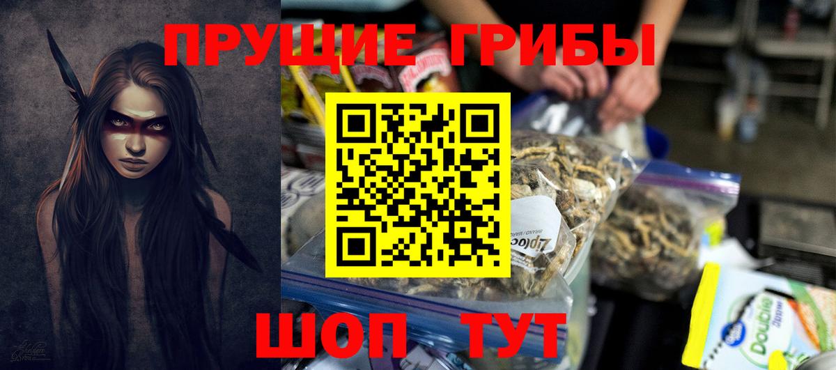 Псилоцибиновые грибы ЛСД  Вход с VPN  Майкоп  цены наркотик  Галлюциногенные грибы мицелий 